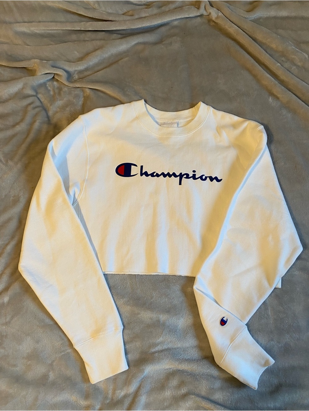Champion cropped sweater
